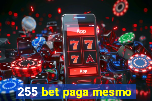 255 bet paga mesmo