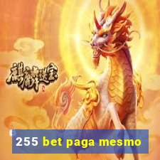 255 bet paga mesmo