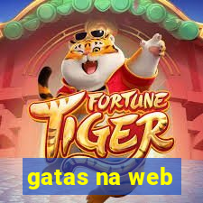 gatas na web