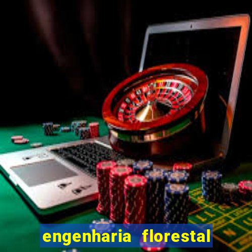 engenharia florestal ead cruzeiro do sul