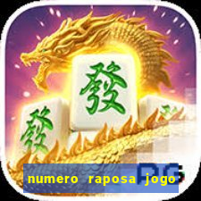 numero raposa jogo do bicho