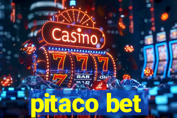 pitaco bet