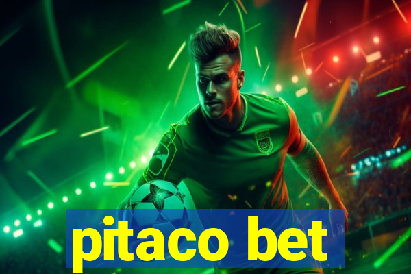 pitaco bet