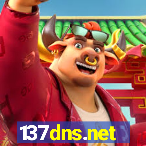 137dns.net