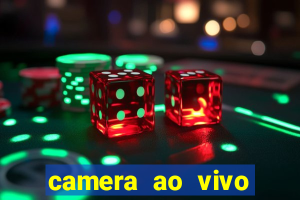 camera ao vivo terminal vila nova cachoeirinha