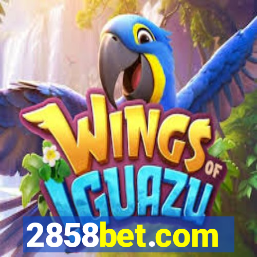 2858bet.com