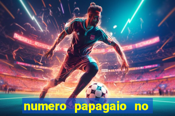 numero papagaio no jogo do bicho