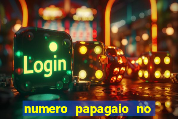 numero papagaio no jogo do bicho