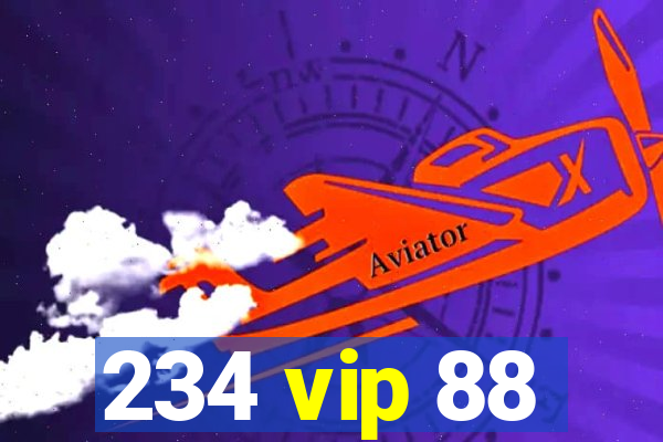 234 vip 88