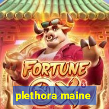 plethora maine