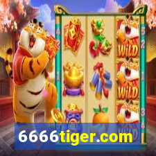 6666tiger.com