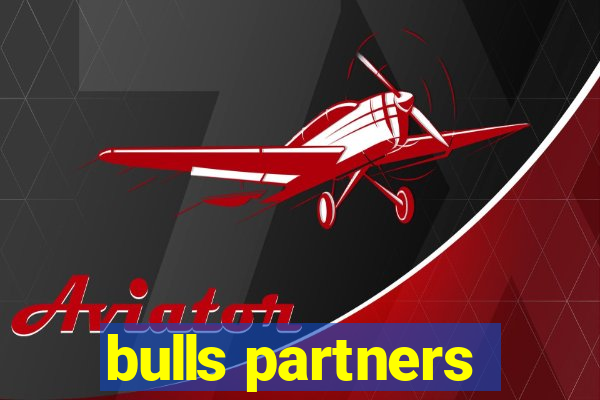 bulls partners