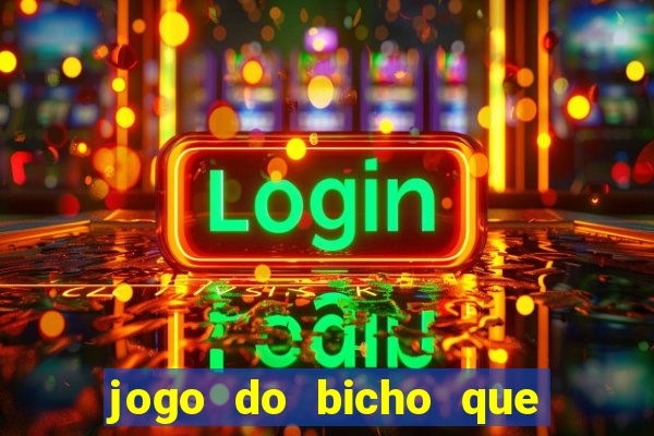 jogo do bicho que paga no pix