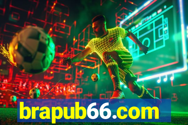 brapub66.com