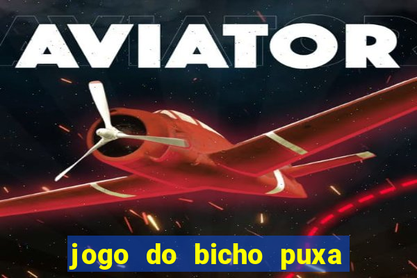 jogo do bicho puxa de dona maria