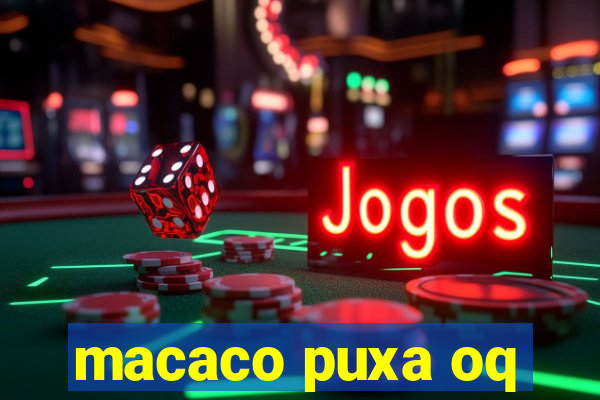 macaco puxa oq