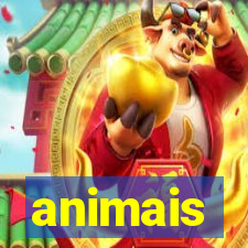 animais-pg.com