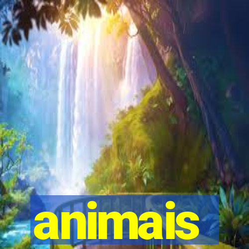 animais-pg.com