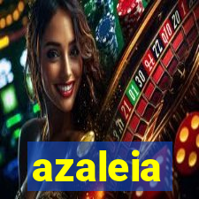 azaleia-br.com