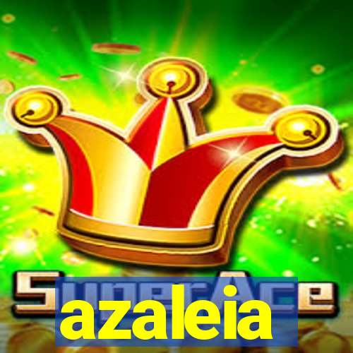 azaleia-br.com