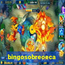 bingosobreoeca