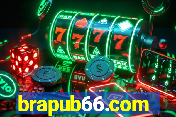 brapub66.com