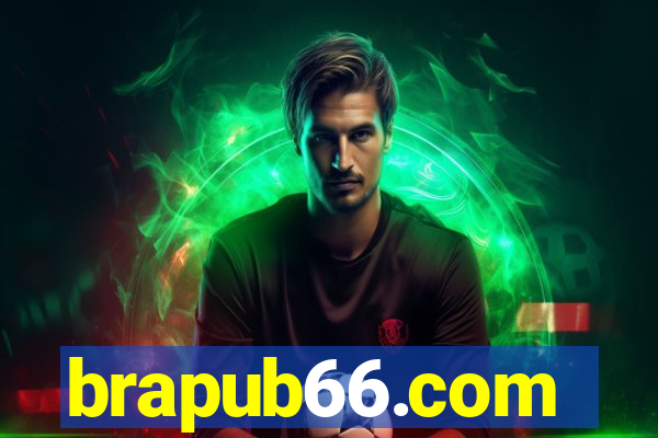 brapub66.com