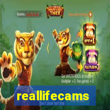 reallifecams