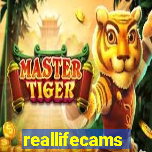 reallifecams