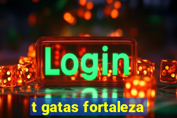 t gatas fortaleza