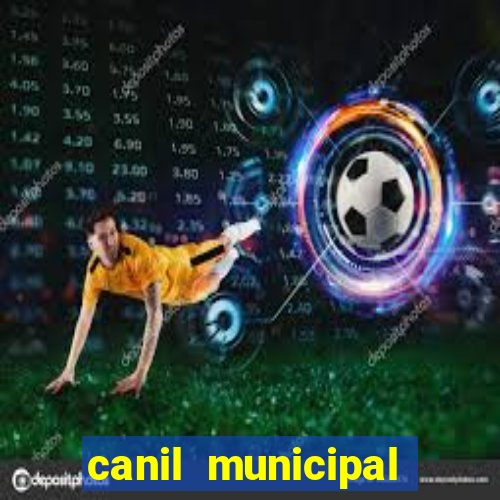 canil municipal porto alegre