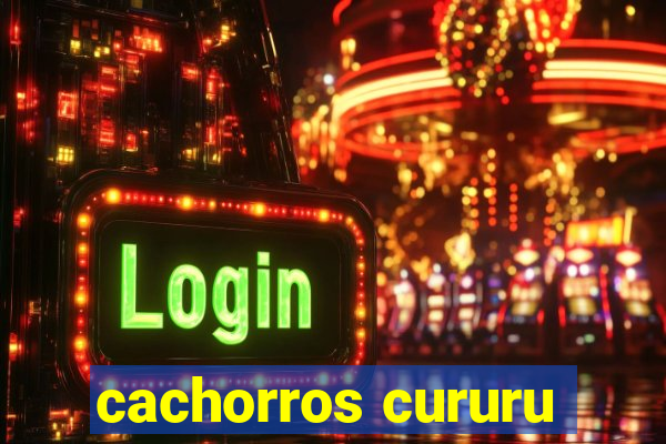 cachorros cururu