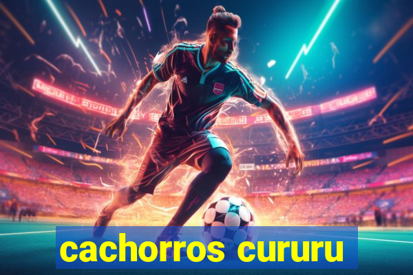 cachorros cururu