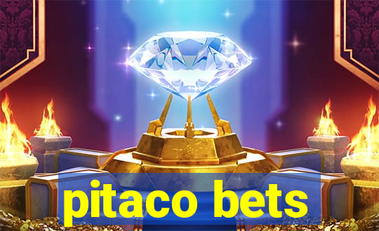 pitaco bets