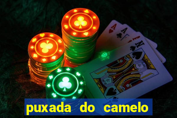 puxada do camelo jogo do bicho