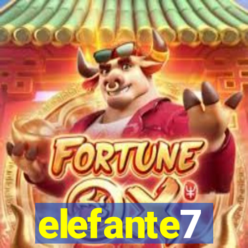 elefante7