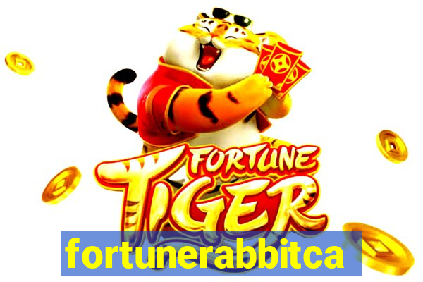 fortunerabbitcasino.online