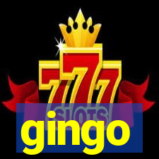 gingo