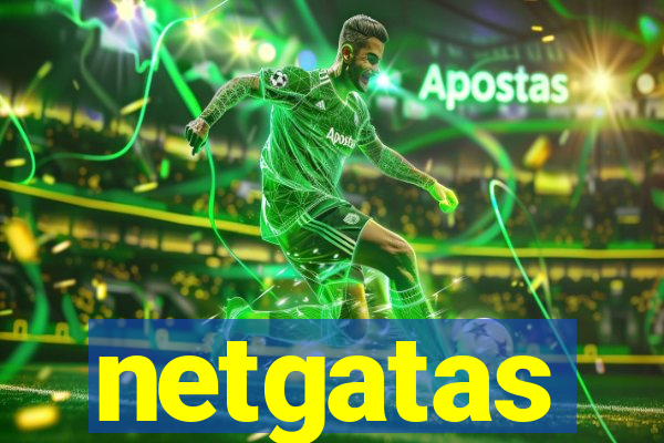 netgatas