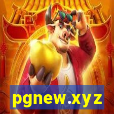 pgnew.xyz