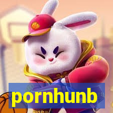 pornhunb