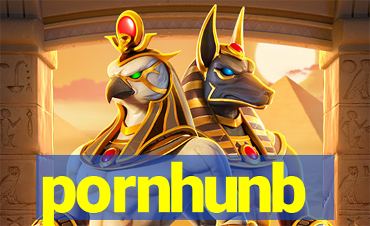 pornhunb