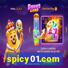 spicy01.com