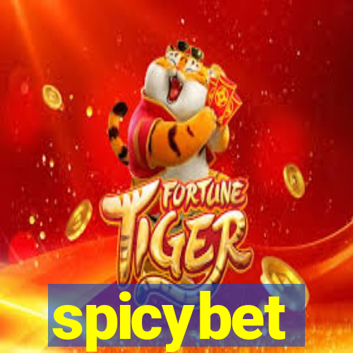 spicybet-2.com