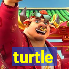 turtle-ty.com